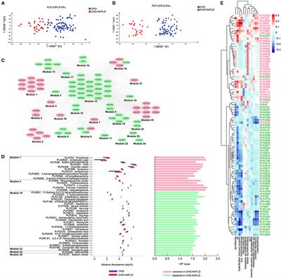 Alterations of Gut Microbiome and Serum Metabolome in Coronary Artery Disease Patients Complicated With Non-alcoholic Fatty Liver Disease Are Associated With Adverse Cardiovascular Outcomes